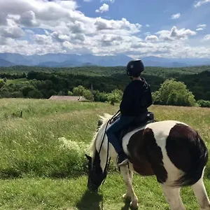 Un Petit Coin De Bonheur Au Ranch Betchat